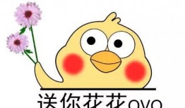 微博视频黑哥爆料,揭秘事件背后真相