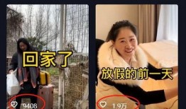 安静保姆爆料视频,揭秘安静家庭背后的秘密