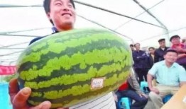 娱乐吃瓜7月,吃瓜群众狂欢季，热点事件盘点